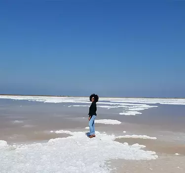 Salt Ponds in Alviso at low tide