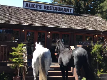horses standing in front of Alices