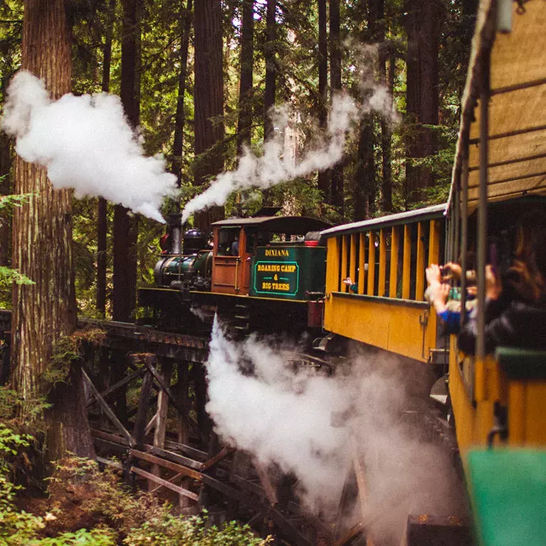 Families enjoy a ride through the redwoods on the Roaring Camp and Big Trees train