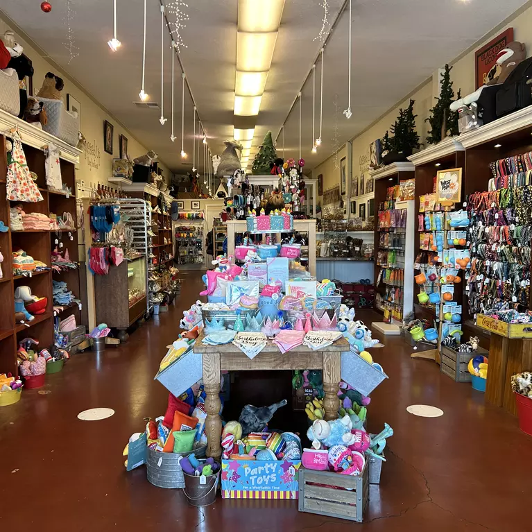 Gussied Up Dog Boutique in Willow Glen