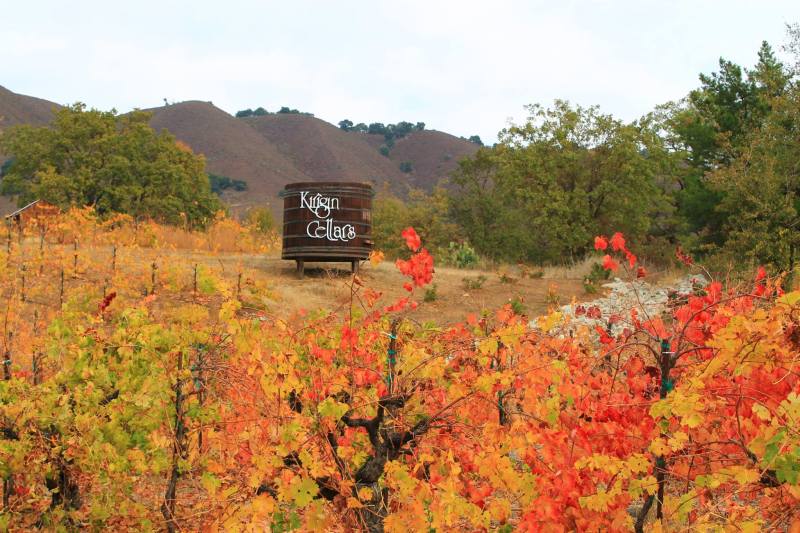 織田義郎　winery village 33/50 Kirigin Cellars | Visit San Jose
