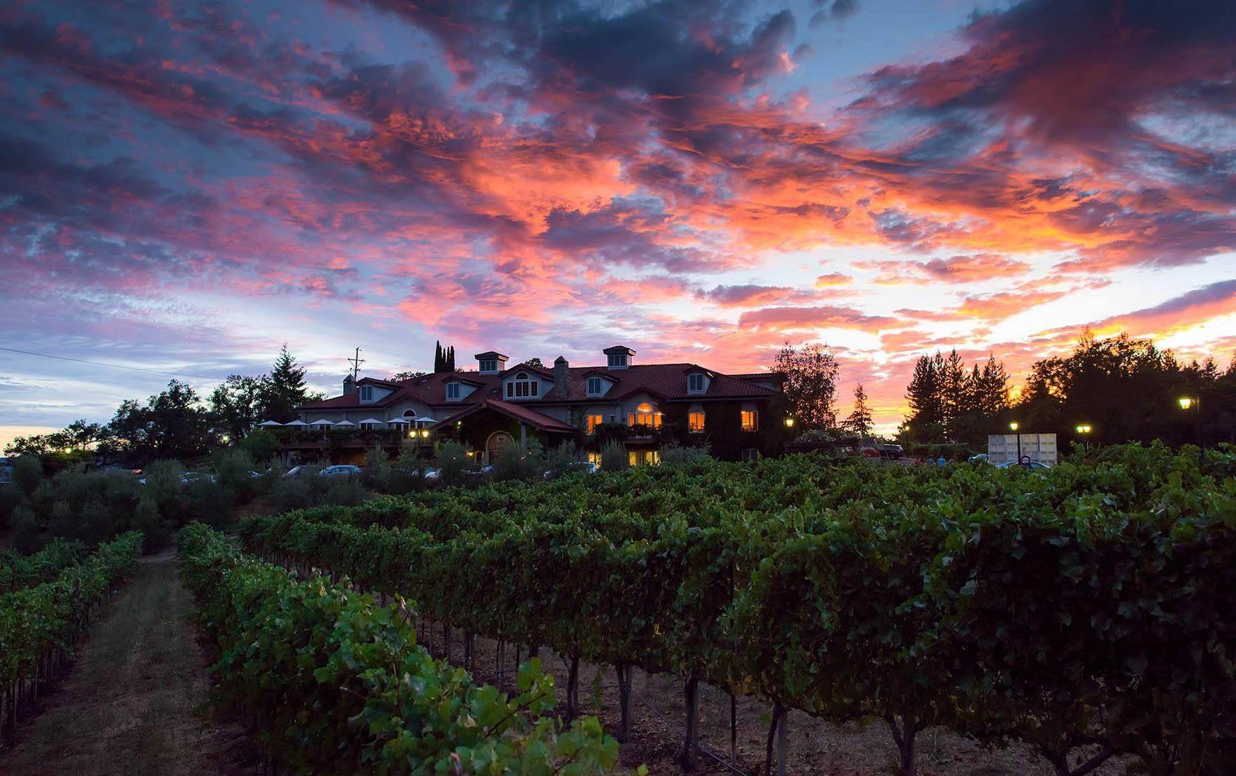 Byington Vineyard and Winery Visit San Jose