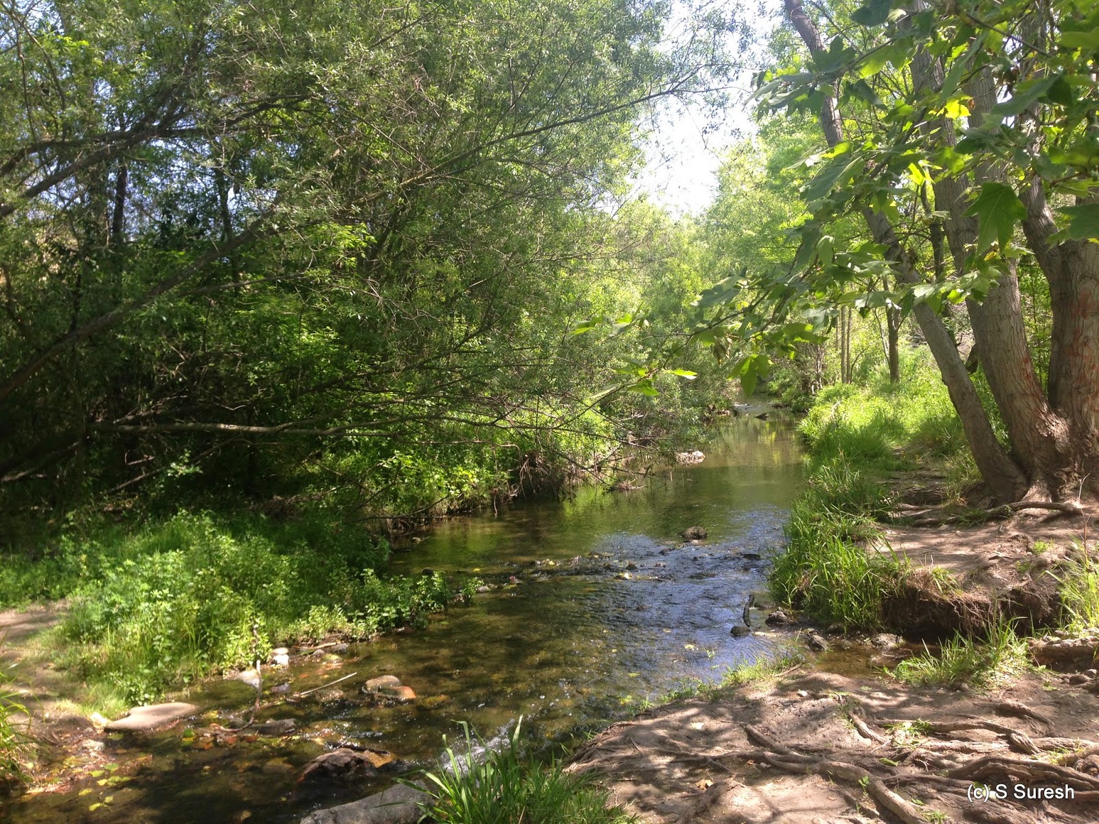Los Gatos Creek Trail | Visit San Jose