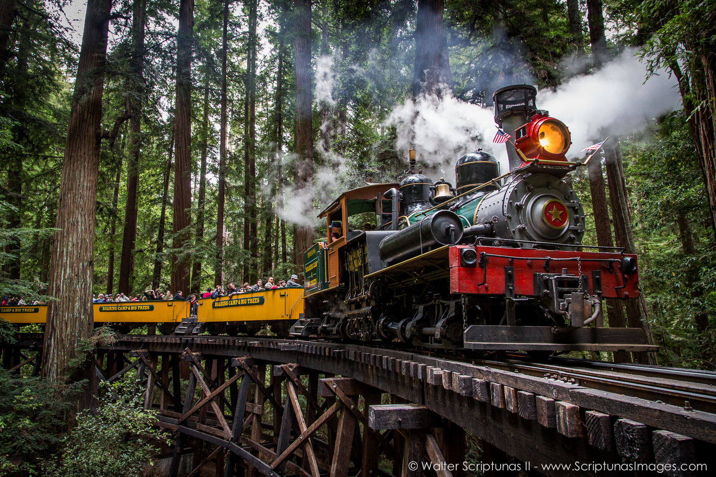 Roaring Camp Railroads San Jose