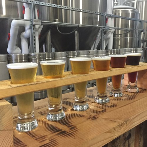 Row of different ales / beers