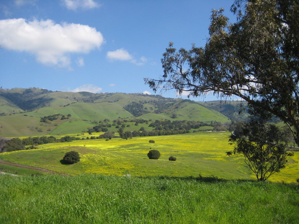 Montgomery Hill Park | San Jose