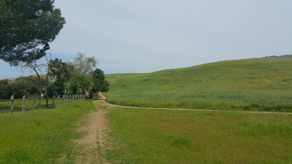Montgomery Hill Park