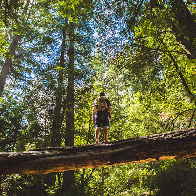 10 Reasons Why You Should Visit San Jose Visit San Jose