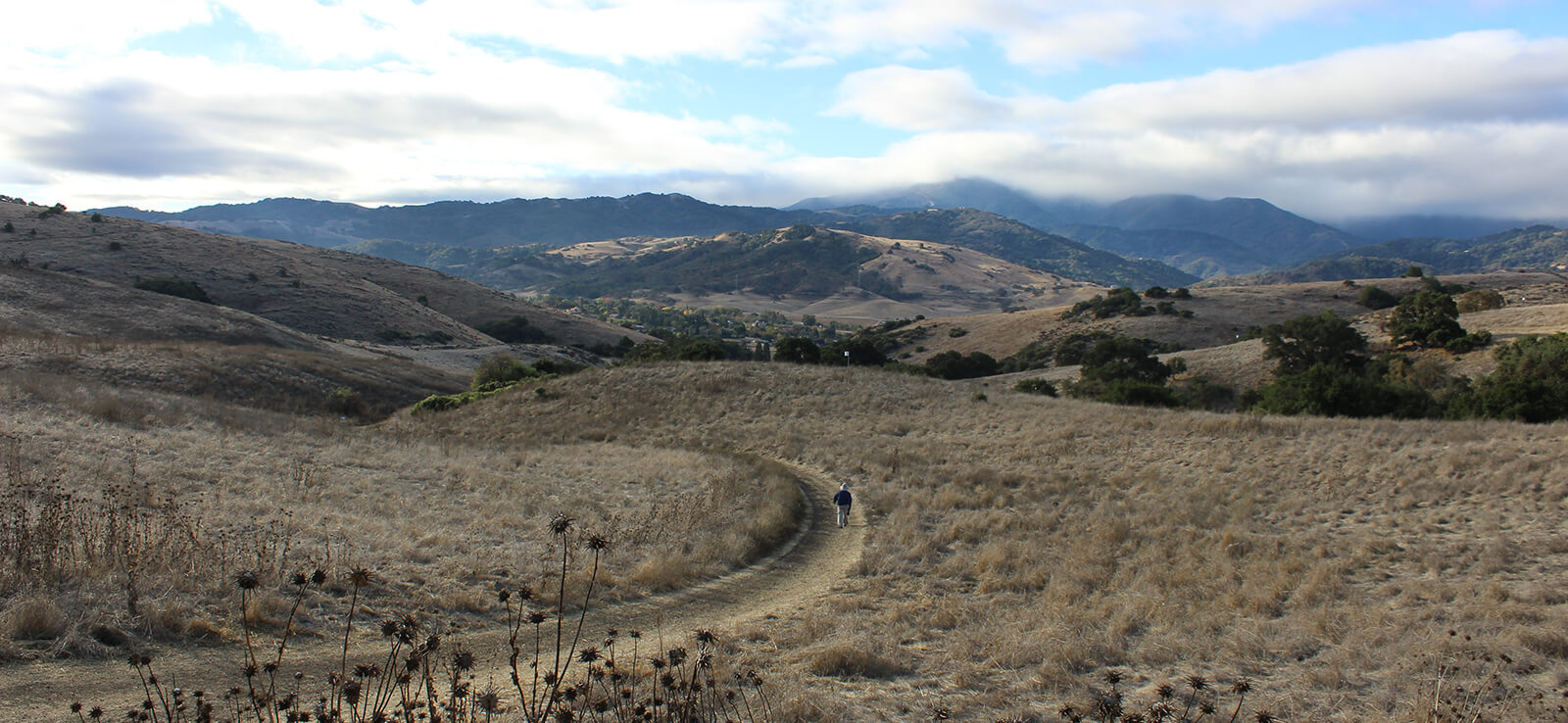 A hiker on a trail in Santa Teresa County Park