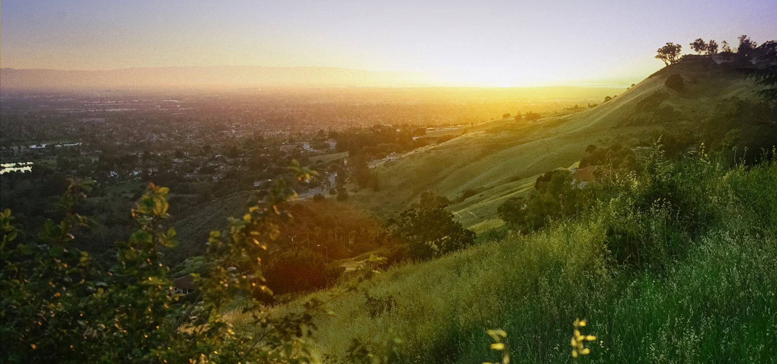 sunset over San Jose skyline view from a trail at Alum Rock Park