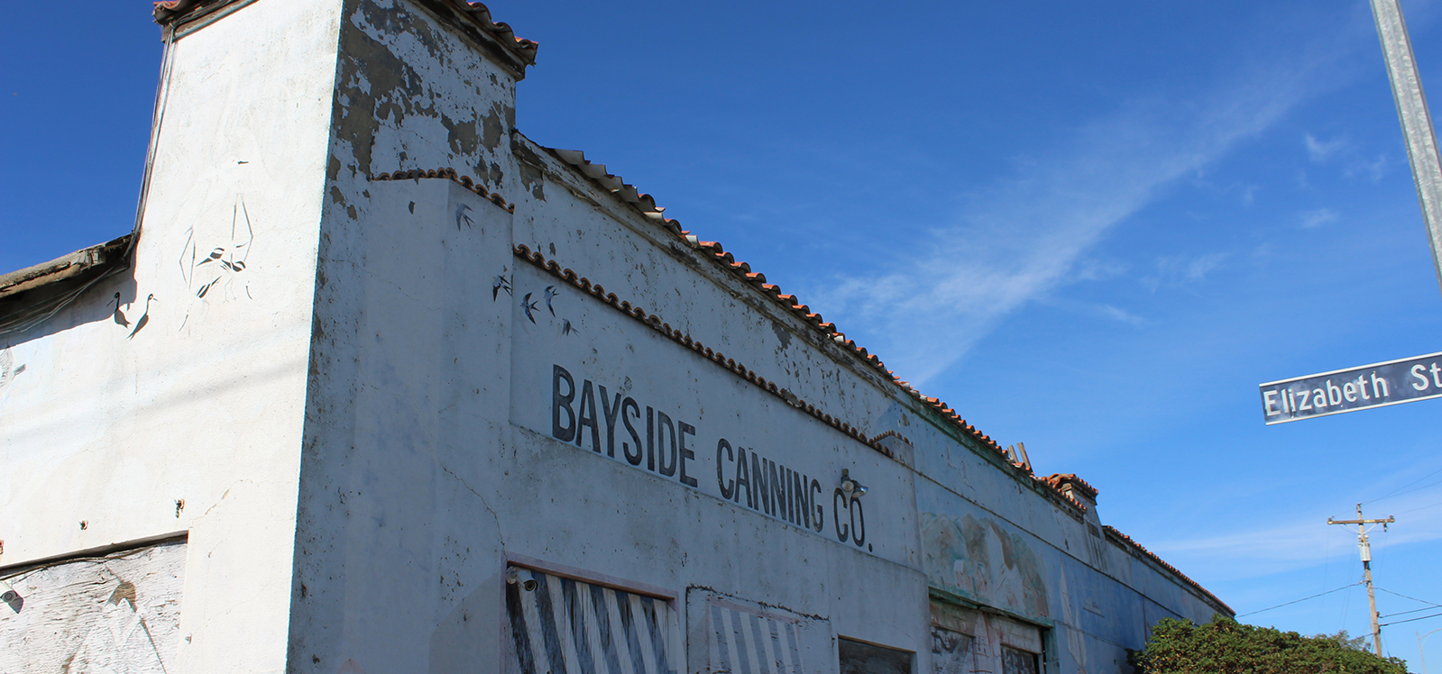 abandoned old canning facility