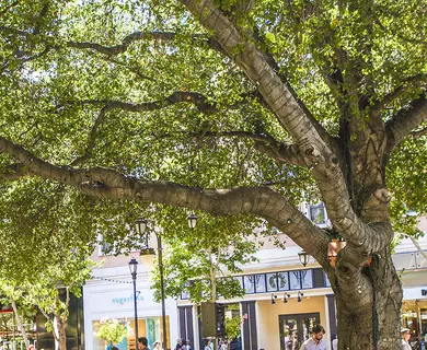 Santana Row outdoor area