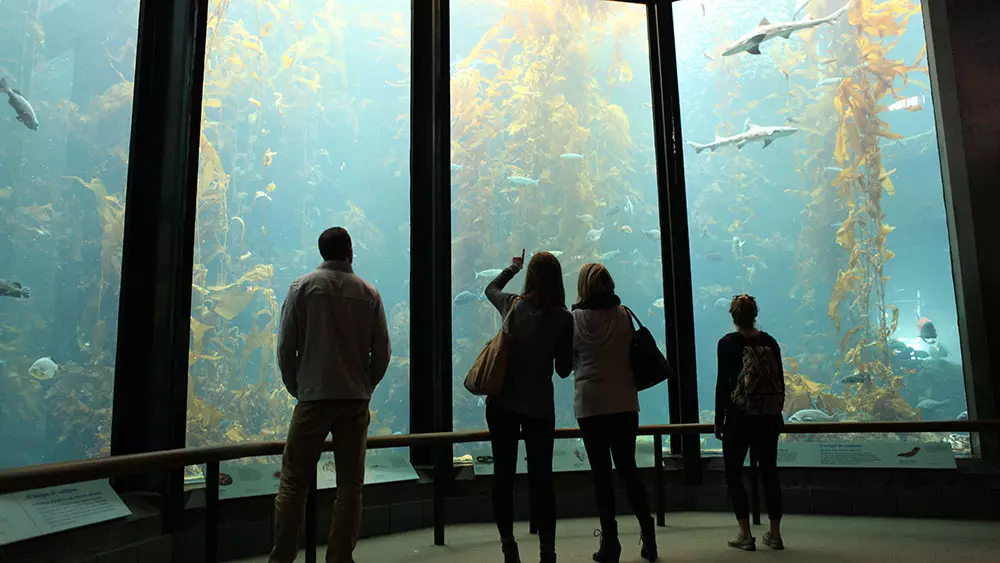 Aquarium
