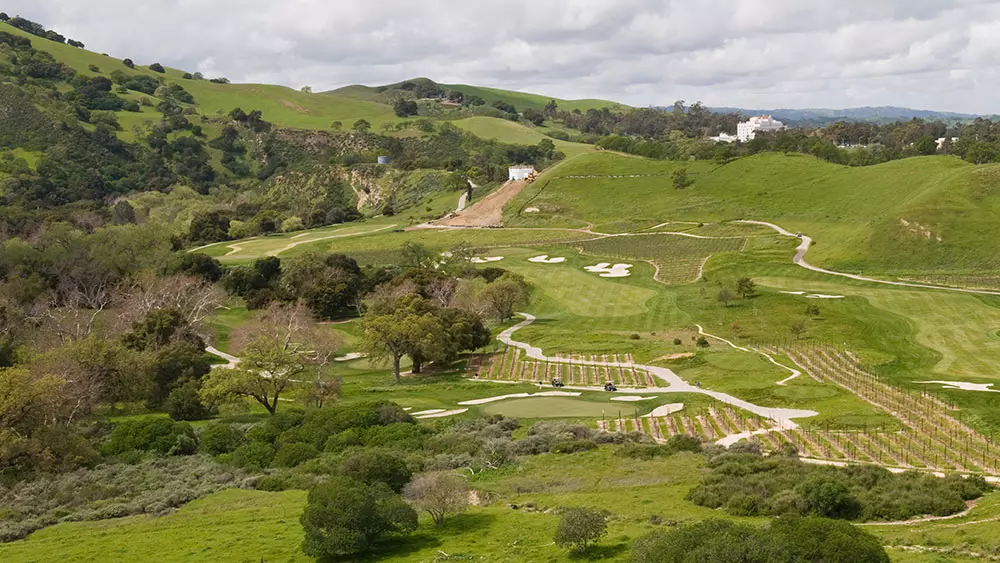 Livermore Vineyards