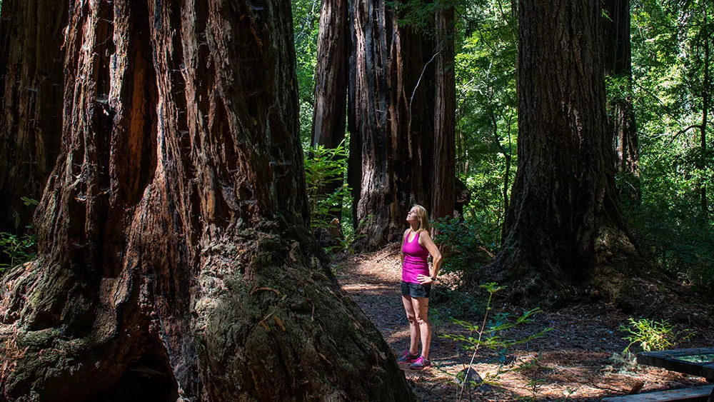 Sequoia National Park