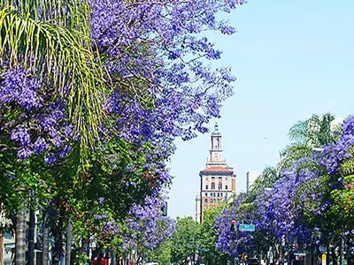 Downtown San Jose Historic Walking Tour