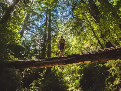 hiker at big basin