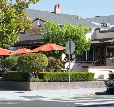 A view of the coffe house Crema with people sitting on the tree-lined patio.