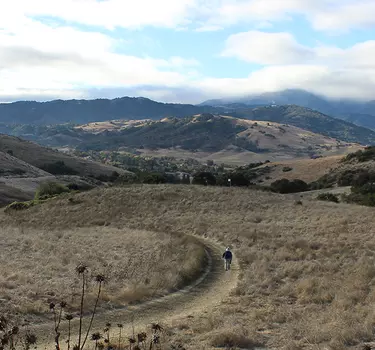 Hiking trails at Santa Teresa Park looking toward the Santa Cruz Mountains