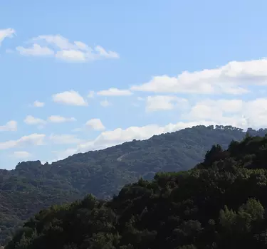 Hiking in the hills of the Almaden Valley.