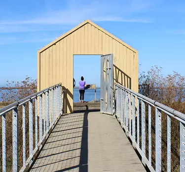 The Alviso doors overlooking the San Francisco Bay