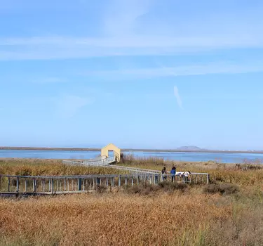 The Alviso doors overlooking the San Francisco Bay