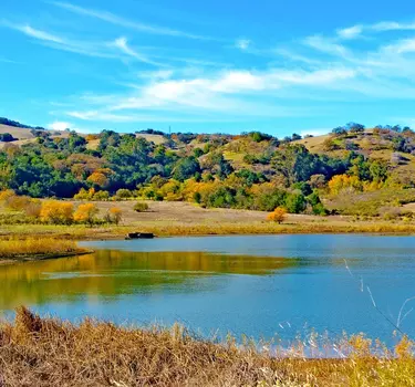 Joseph D Grant County Park