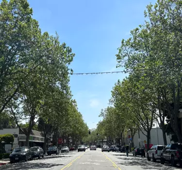 View down Lincoln, Willow Glen's main drag