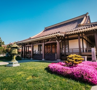 The exterior of the San Jose Buddhist Church Betsuin with bright purple flowers