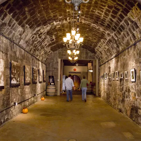 Testarossa Winery wine cave