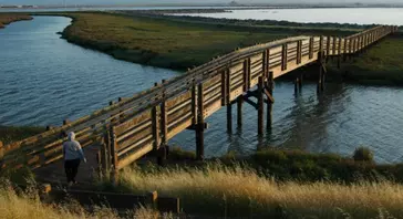 Don Edwards San Francisco Bay National Wildlife Refuge Bridge