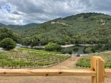 Views at Alamitos Winery