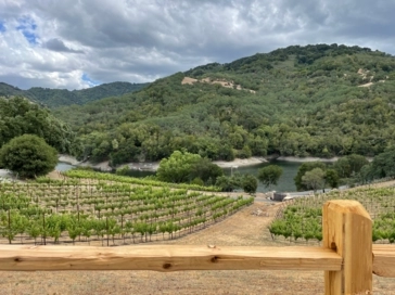 Views at Alamitos Winery