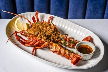 Augustine Lobster