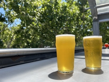 Floodcraft Beer
