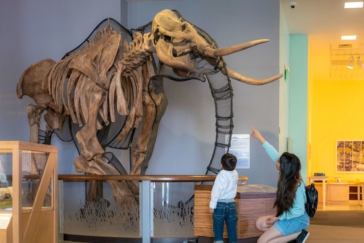 Children's Discovery Museum Family