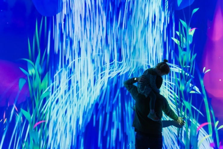 Dream Garden at The Tech Interactive