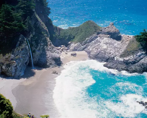 A stunning view of the Lone Cypress standing on the cliff over the Monterey Bay pacific coast