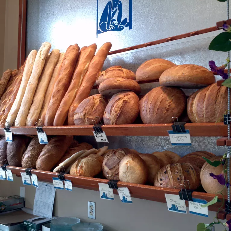 Different types of bread