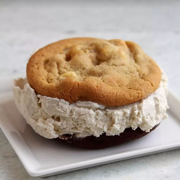 gourmet ice cream sandwich