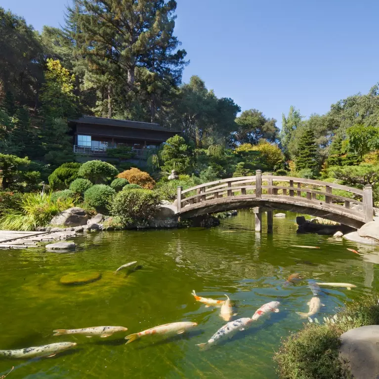 hakone-gardens.jpg