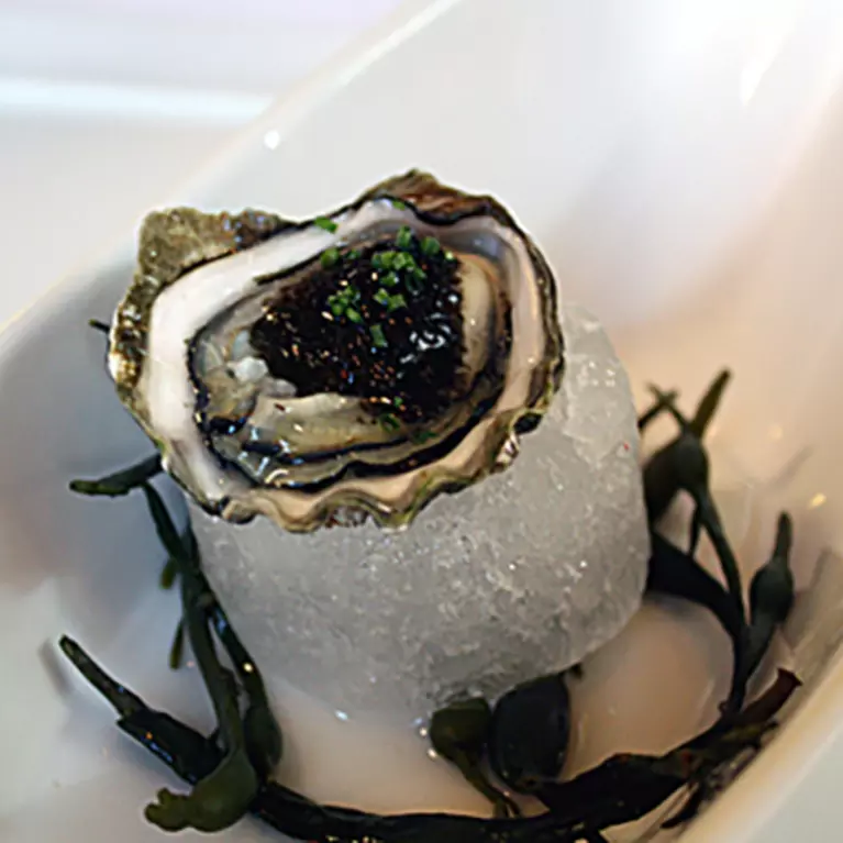 Oyster on a piece of ice 