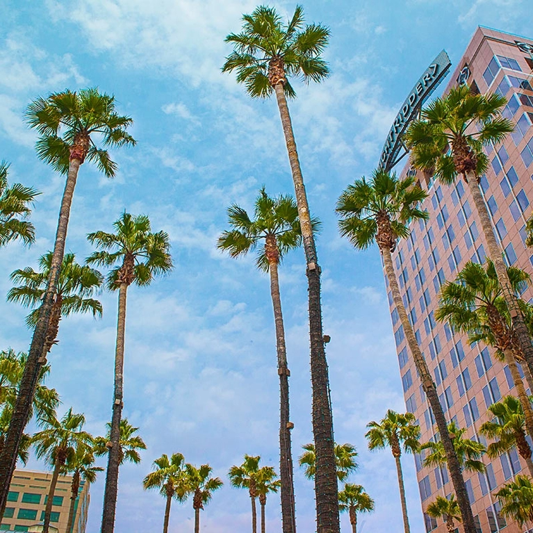 Skyview of the Circle of Palms and the Knight Ridder building in Downtown San Jose