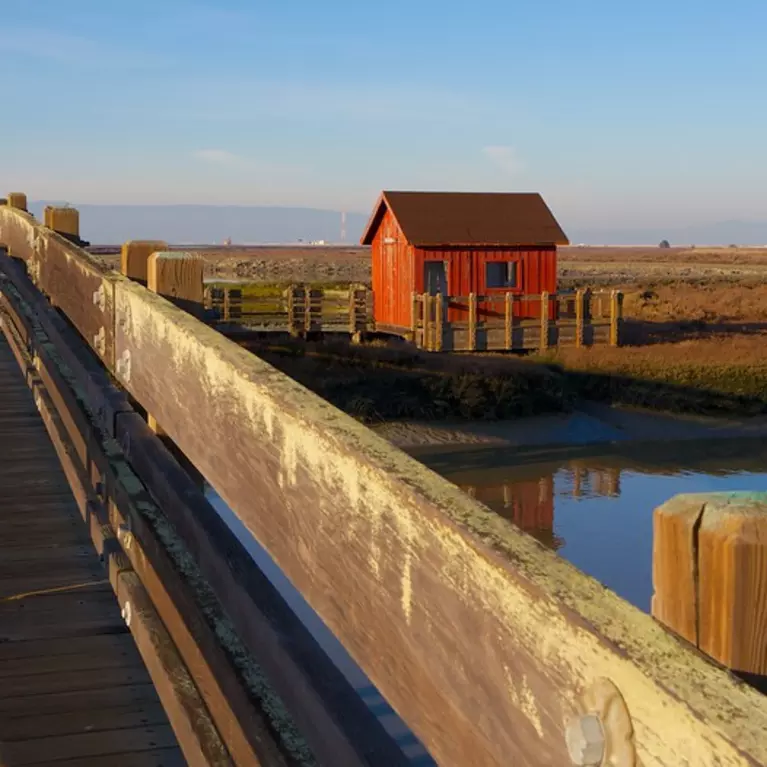 Don Edwards San Francisco Bay National Wildlife Refuge Land