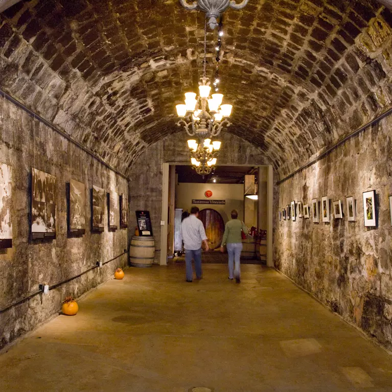 Testarossa Winery wine cave