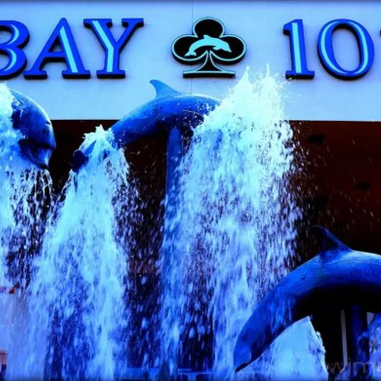 Bay 101 Club