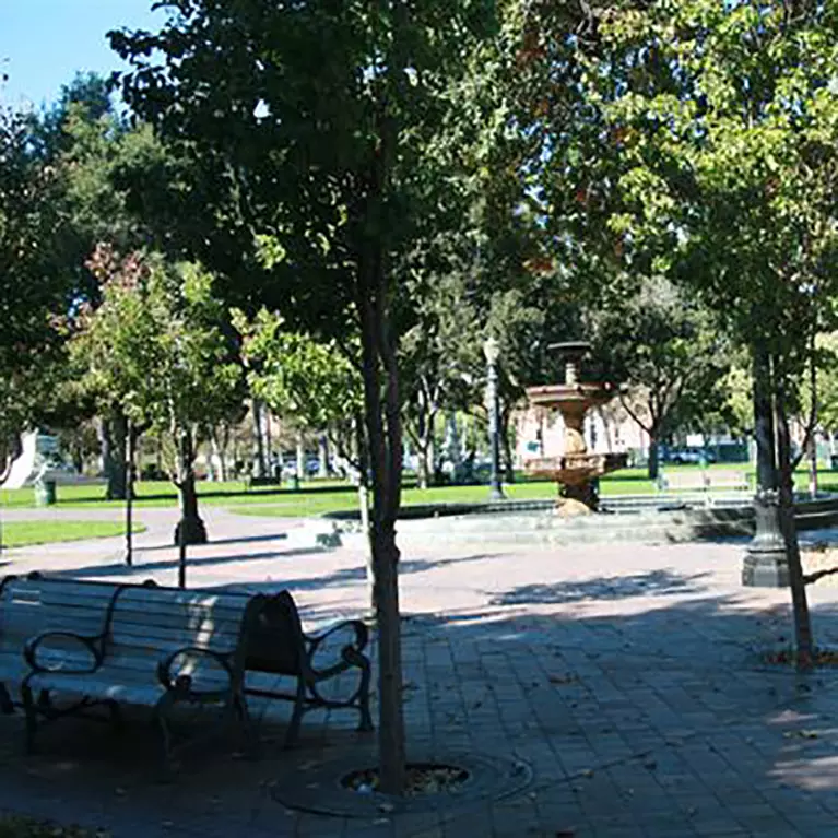 St. James Park in Downtown San Jose