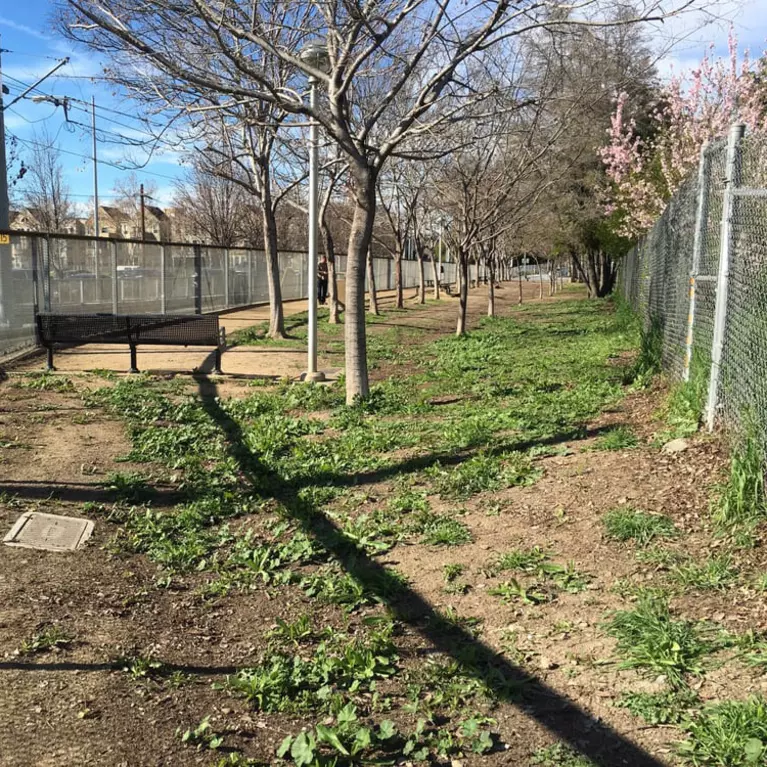 Discovery Dog Park in Downtown San Jose