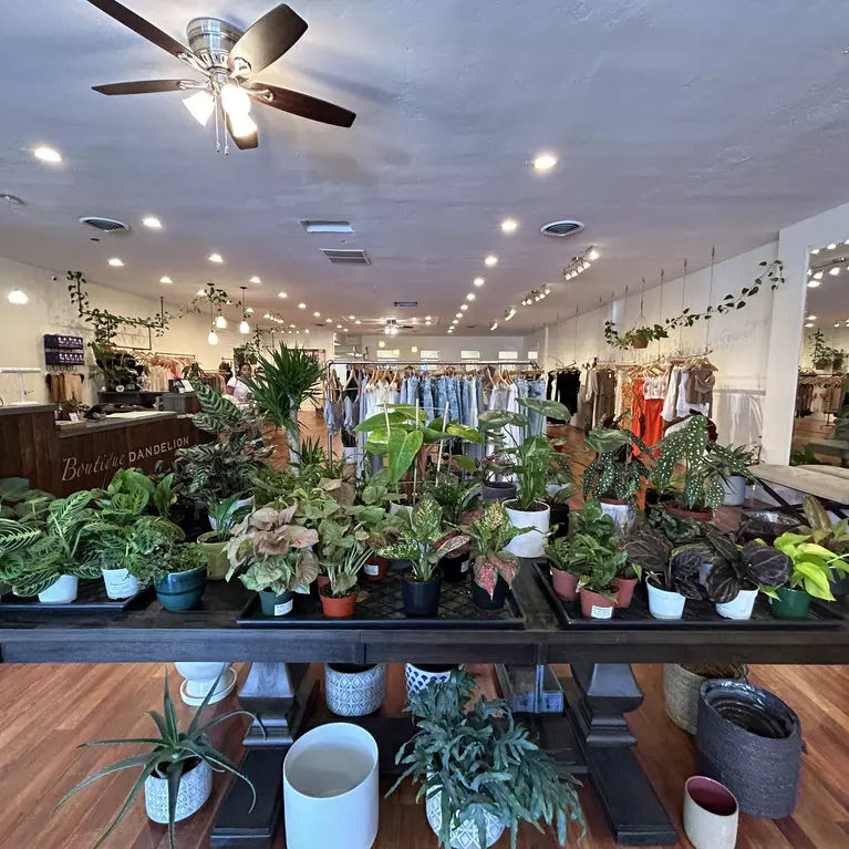 View inside Boutique Dandelion in San Jose's Willow Glen neighborhood