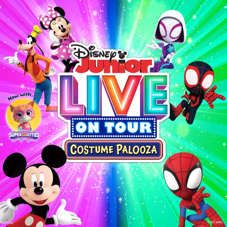 Disney Costume Palooza